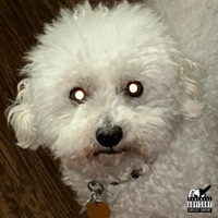 pretty smiles - Single - SadHappyRabbit