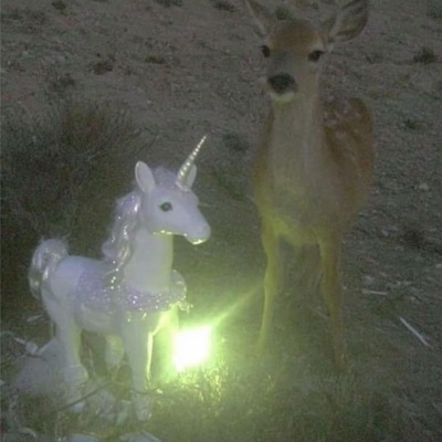 am i worthy of trust - Single