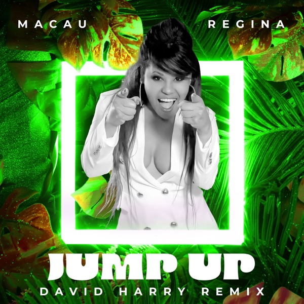 JUMP UP (David Harry Remix) - Single