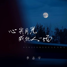 心尖月光成仇人一场 (伴奏) 李志宇