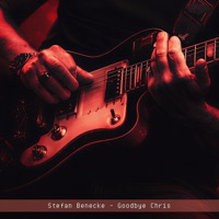 Goodbye Chris - Single - Stefan Benecke