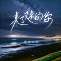 来了又去的你 - Single - 猪老三儿