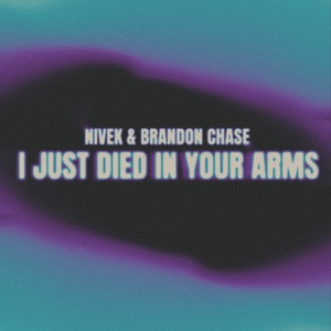 (I Just) Died In Your Arms - Single