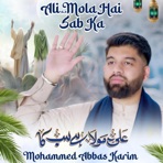 Ali Mola Hai Sab Ka - Single