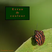 Ecran de couleur — Christophe Lorient