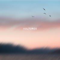 Vultures - Single - MEG + JAC, Megan Davies & Jaclyn Davies