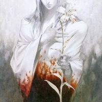 howmanynights - Single - serrature