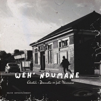 Weh'ndumane (feat. Ndumane) - Single