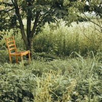 Hollow Hills (feat. Lilah) - Single - D.B Nord