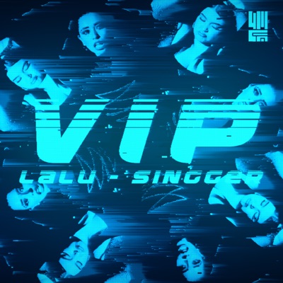 Vip (feat. Singger) - Single