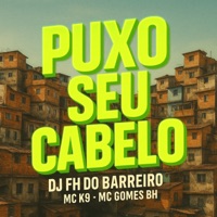Puxo Seu Cabelo - Single - DJ FH do Barreiro, MC K9 & Mc Gomes BH
