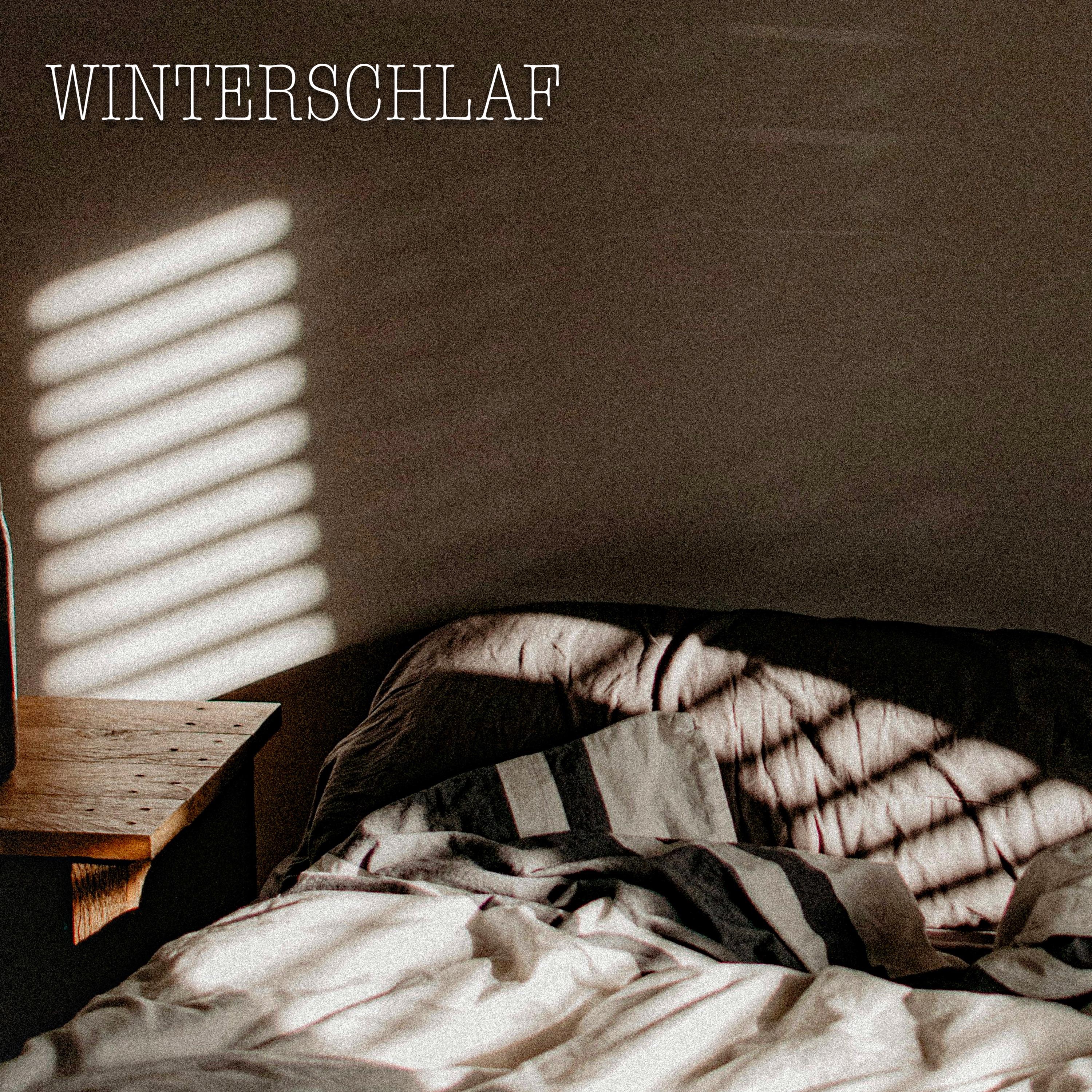 winterschlaf - Single