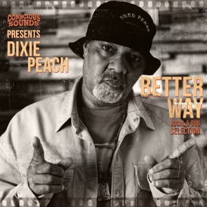 Conscious Sounds Presents Better Way Vocal and Dub Selection - EP