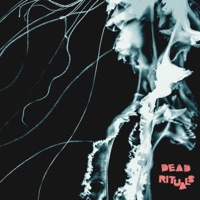 Where You Belong (feat. Pietro Santangelo) - Single - Dead Rituals