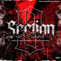 Section 8 (feat. Lil Nate Tha Goer & MISTAH F.A.B.) - Single - EA$TY