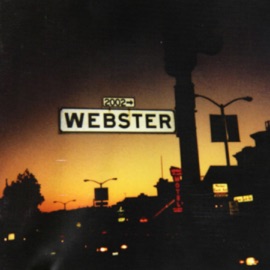 Party Fever Webster
