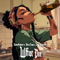 What Else (feat. Ricotrap & Jojo Honcho) - Single - Nonshalont