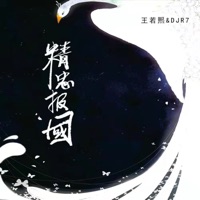 精忠报国 (DJR7版) - Single - 王若熙