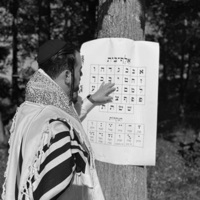 אלף בית - Single - Chilly Wagschal