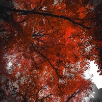 Wrong Number - Single - Phil Beats