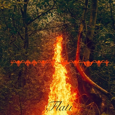 ¡ cc l'feu ! (feat. Wesma) - Single