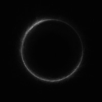 DAYERE - Single - EIN & NOIZEY