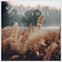 Whispers of the Soul: 432 Hz Harp in Stillness - Solflare, Meditation Music Masters & Easy Listening Background Music