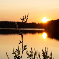 Paid the Price - Single - IZeke