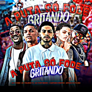 A Puta Só Fode Gritando (feat. Mc Du Red & Mc Velinho TS)