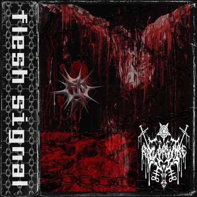 flesh signal - Single