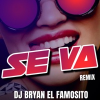Se Va Mixtape - Single - Dj Bryan El Famosito