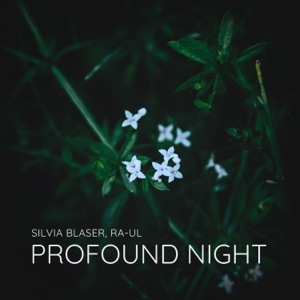 Profound Night - Single