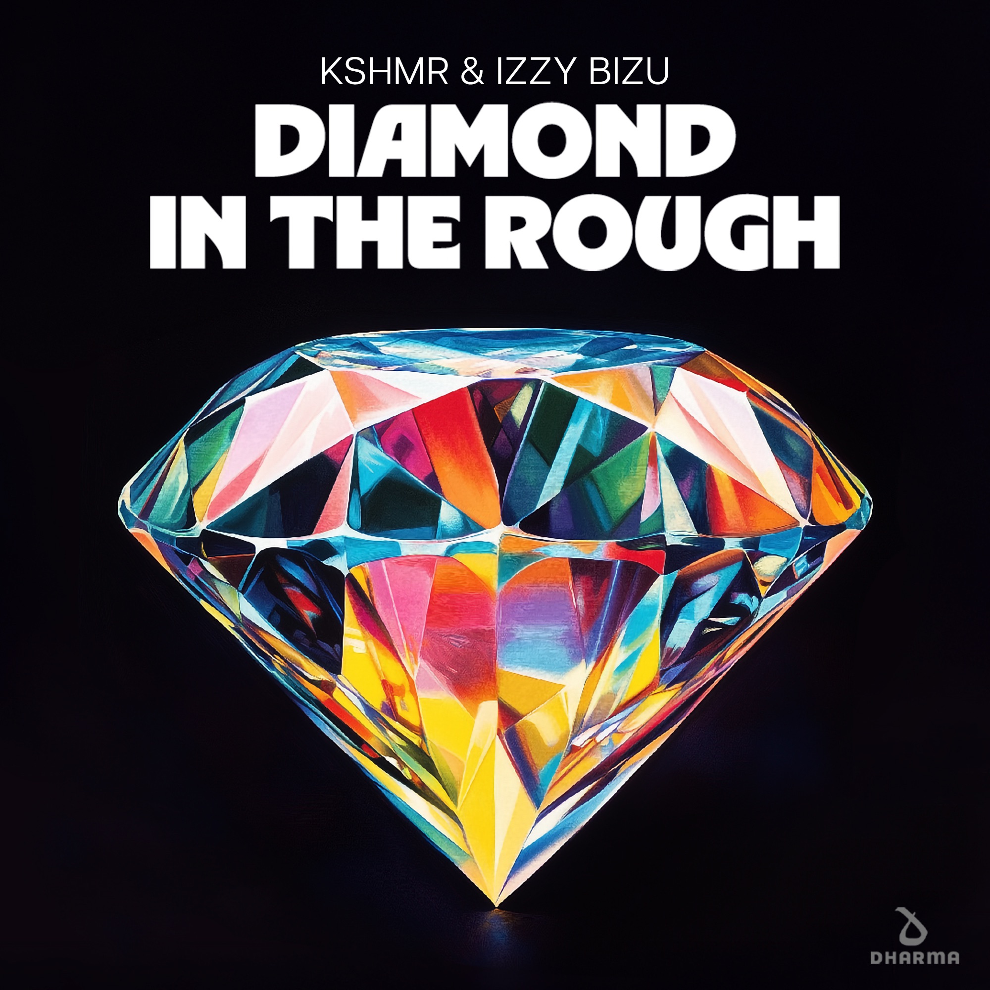 Diamond In The Rough - Single
