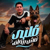 مهرجان قلبي مش بيخاف (feat. حمو حتاتا) - Single - MTL Music - ام تى ال ميوزك