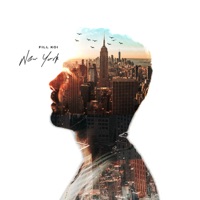 New York - Single - Fill Koi