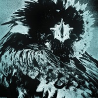 CRVSH (Slowed & Reverb) - Single - YGT