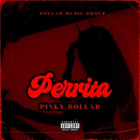 PERRITA (feat. Pinky Dollar & Dollar Music Group) - Single - El Dollar Music