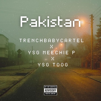 Pakistan (feat. YGN Toog & YSG MeechieP) - Single