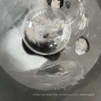 Kensington - Single - Tristan de Liège & Velvet Empress