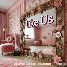Like Us (feat. Ms. Dari & KILLÄKENN) Galatto