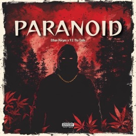 Paranoid Ethan Poryes & Y.C Tha Code