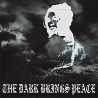 The Dark Brings Peace - Single - AlienBabe