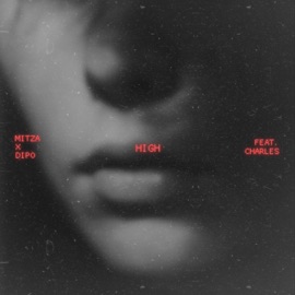 High (feat. Dipo & Charles) mitză