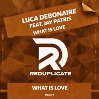 What Is Love - Single - Luca Debonaire