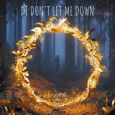 DJ BAGASZ - Dj Let Me Down Breakbeat (Radio Edit)