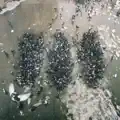 Alone Together