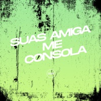 Suas Amiga Me Consola (feat. Vanne OG) - Single - DJ RCS, MC VN Cria & Dj Igor ZS 012