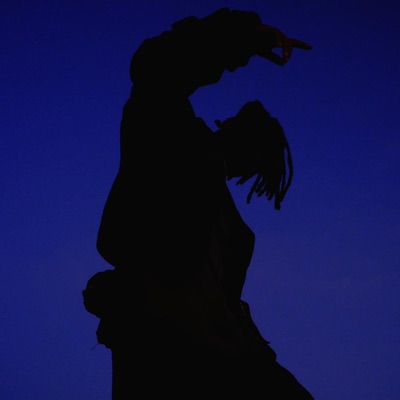 FALLACIES - Single