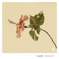 Blossom - Cosmide, DJIMA & Pheek