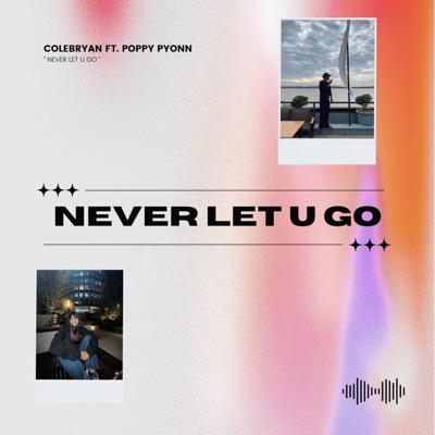 Never Let U Go (feat. Poppy Pyonn) - Single